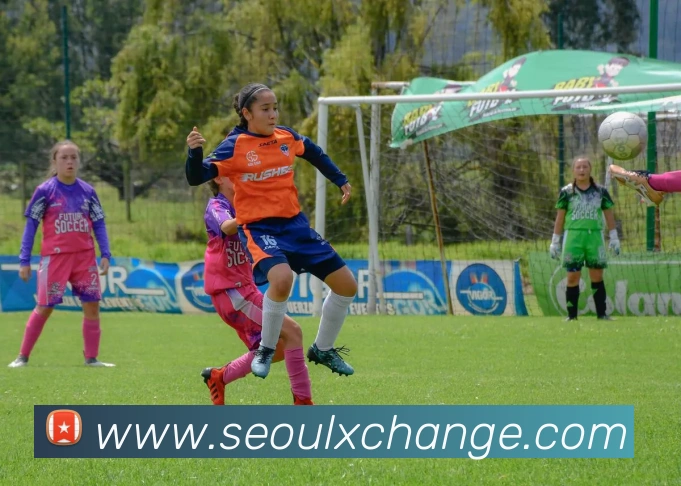 体育赛事直播